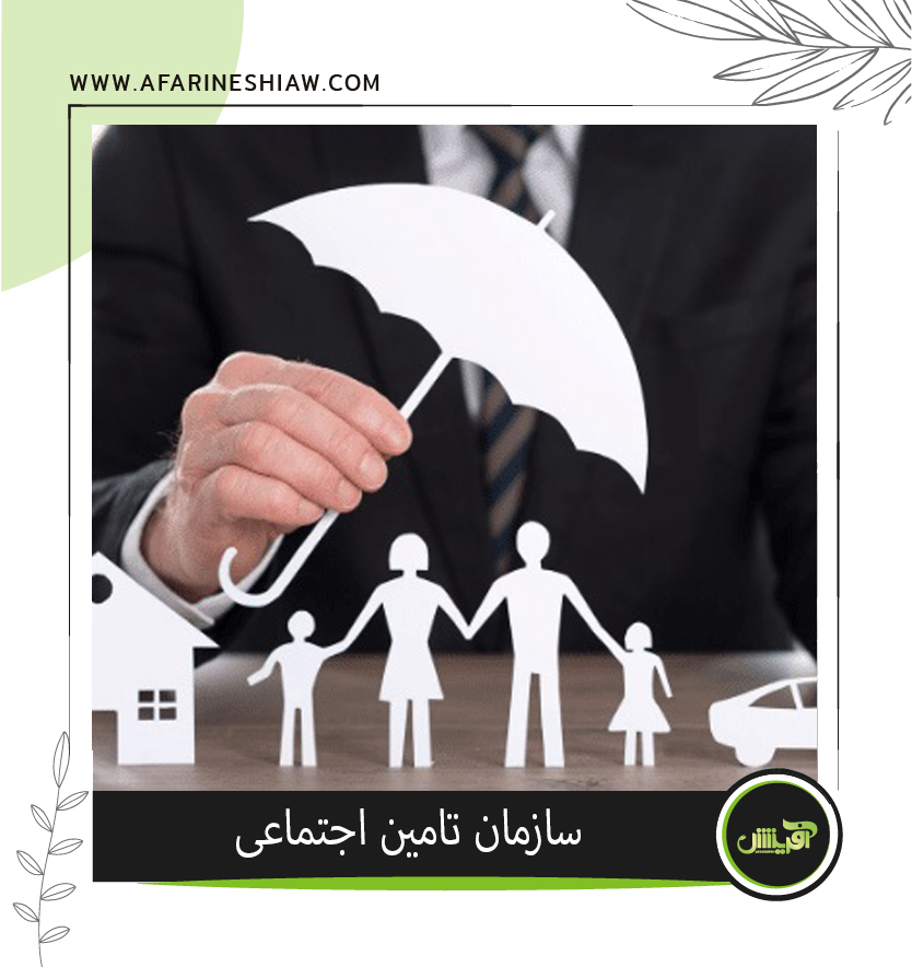 موسسه حقوقی آفرینش