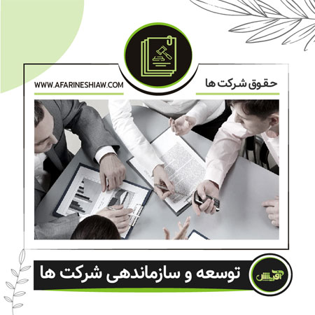 توسعه و سازماندهی شرکت ها